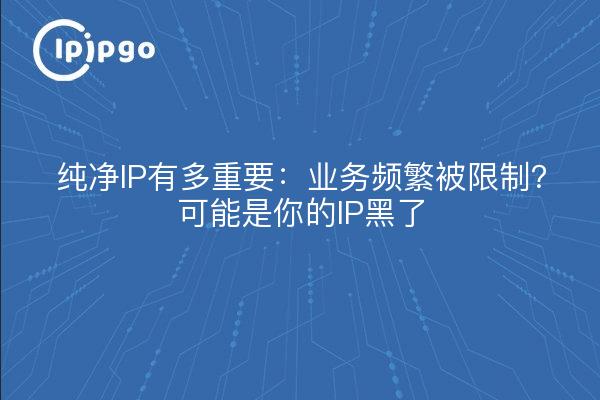 纯净IP有多重要：业务频繁被限制？可能是你的IP黑了
