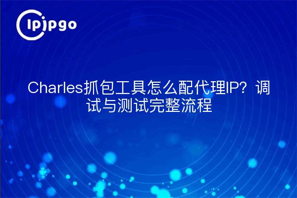 Charles抓包工具怎么配代理IP？调试与测试完整流程