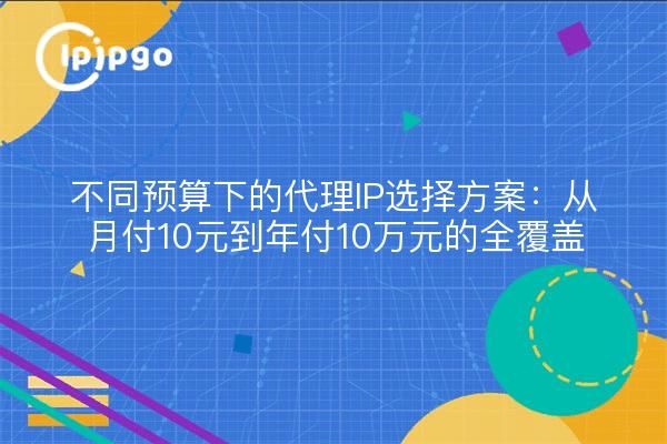 不同预算下的代理IP选择方案：从月付10元到年付10万元的全覆盖