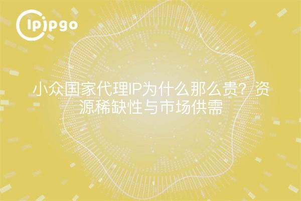 小众国家代理IP为什么那么贵?资源稀缺性与市场供需