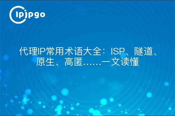 代理IP常用术语大全：ISP、隧道、原生、高匿……一文读懂