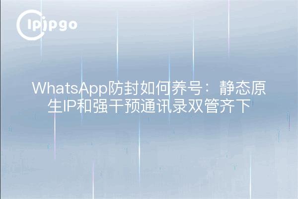 WhatsApp防封如何养号：静态原生IP和强干预通讯录双管齐下