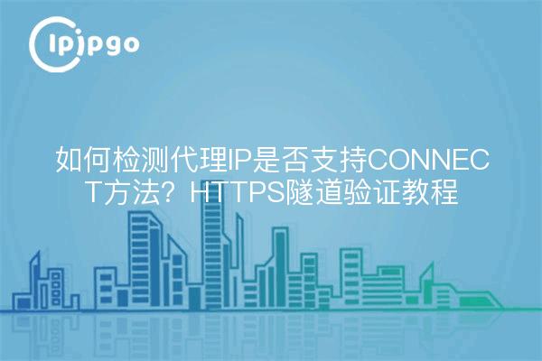 如何检测代理IP是否支持CONNECT方法？HTTPS隧道验证教程