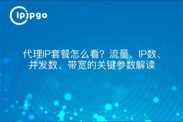 代理IP套餐怎么看？流量、IP数、并发数、带宽的关键参数解读
