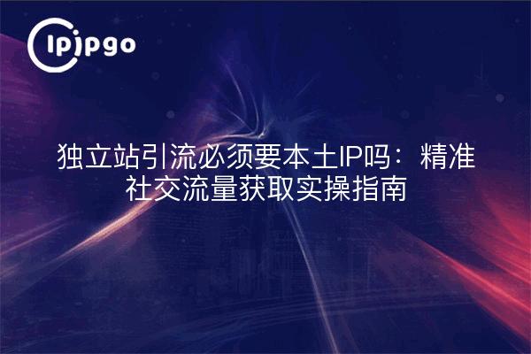 独立站引流必须要本土IP吗：精准社交流量获取实操指南