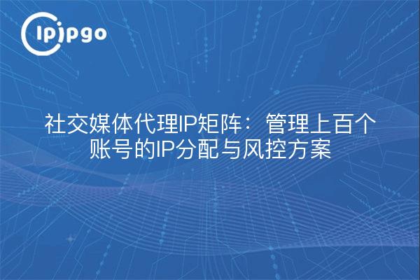 社交媒体代理IP矩阵:管理上百个账号的IP分配与风控方案