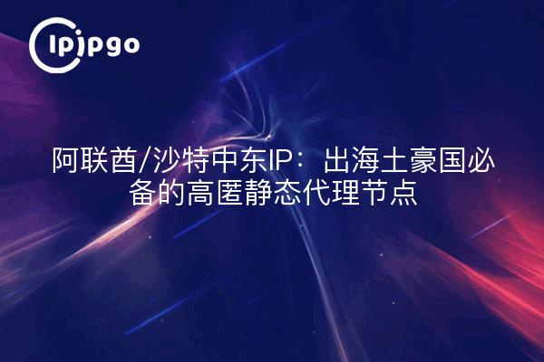 阿联酋/沙特中东IP：出海土豪国必备的高匿静态代理节点