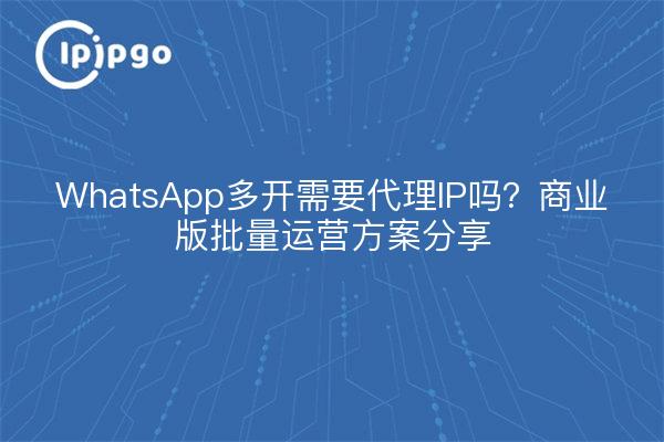 WhatsApp多开需要代理IP吗?商业版批量运营方案分享