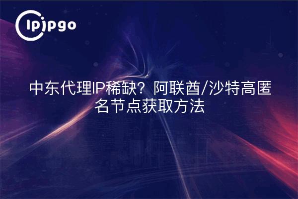 中东代理IP稀缺?阿联酋/沙特高匿名节点获取方法