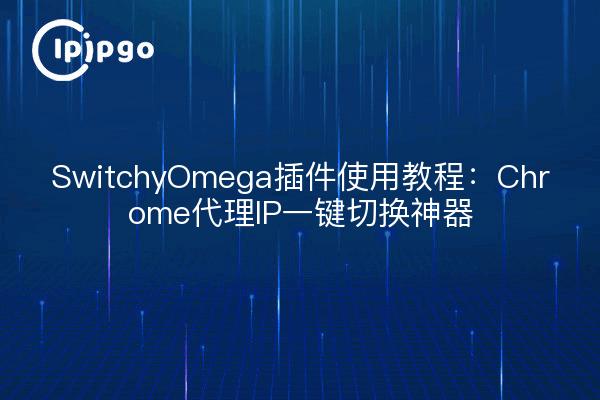 SwitchyOmega插件使用教程：Chrome代理IP一键切换神器