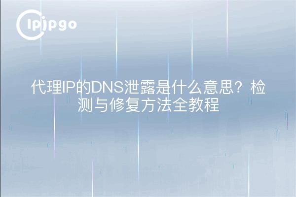 代理IP的DNS泄露是什么意思？检测与修复方法全教程