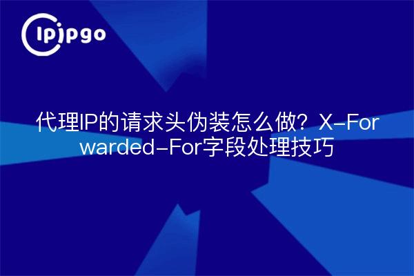 代理IP的请求头伪装怎么做？X-Forwarded-For字段处理技巧