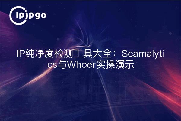 IP纯净度检测工具大全：Scamalytics与Whoer实操演示