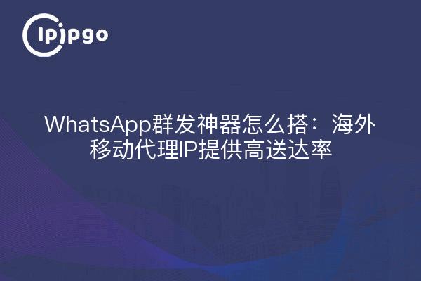 WhatsApp群发神器怎么搭：海外移动代理IP提供高送达率