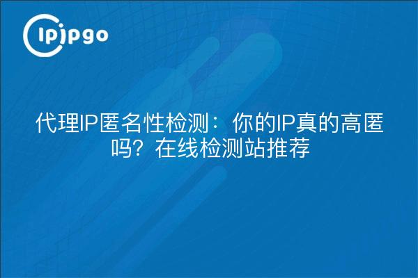 代理IP匿名性检测：你的IP真的高匿吗？在线检测站推荐