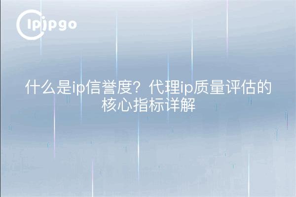 什么是ip信誉度?代理ip质量评估的核心指标详解