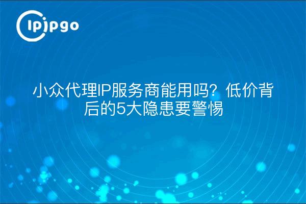 小众代理IP服务商能用吗？低价背后的5大隐患要警惕