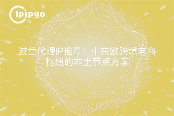 波兰代理IP推荐：中东欧跨境电商枢纽的本土节点方案
