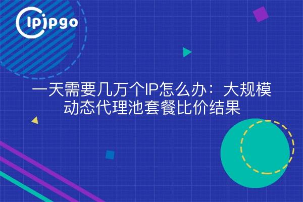 一天需要几万个IP怎么办：大规模动态代理池套餐比价结果