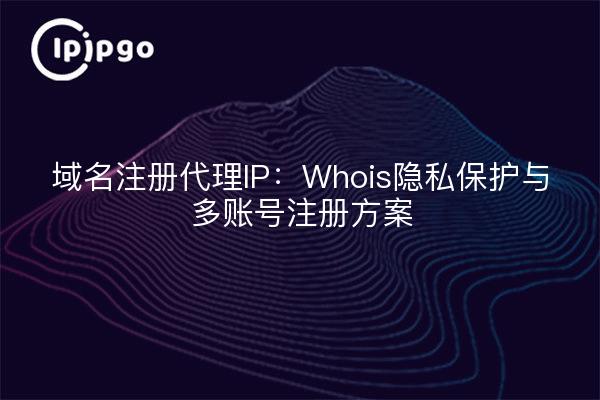 域名注册代理IP：Whois隐私保护与多账号注册方案