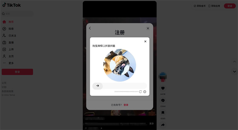 TikTok注册秒跳验证，如何搭建不触发风控的纯净网络环境？