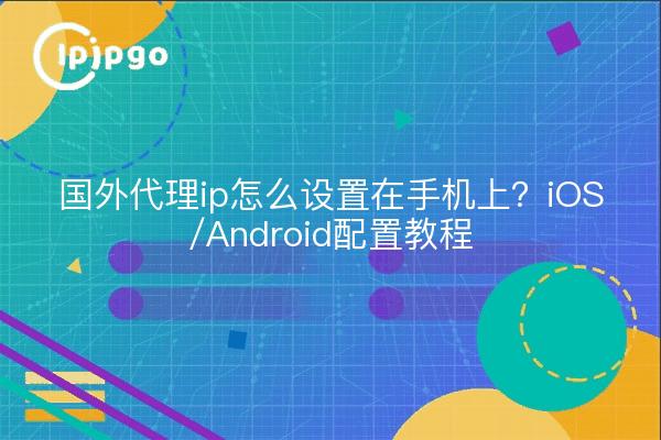 国外代理ip怎么设置在手机上？iOS/Android配置教程