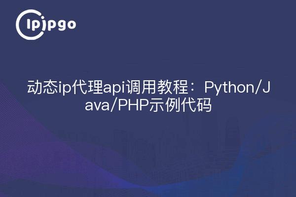 动态ip代理api调用教程：Python/Java/PHP示例代码