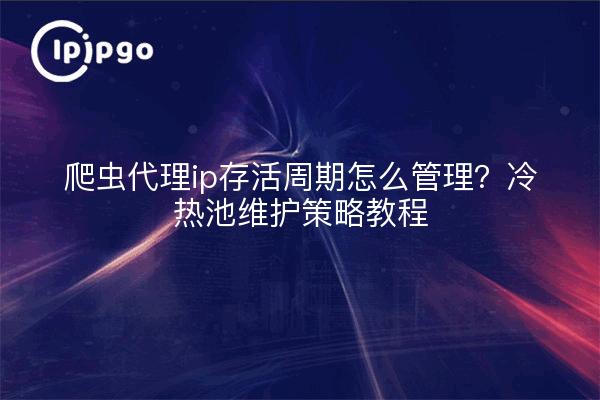 爬虫代理ip存活周期怎么管理？冷热池维护策略教程