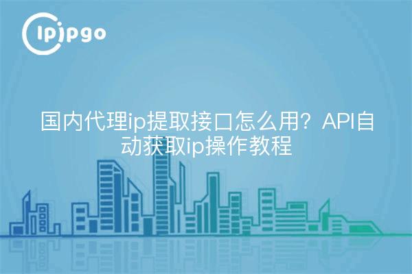 国内代理ip提取接口怎么用？API自动获取ip操作教程