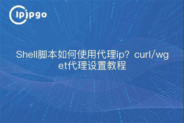 Shell脚本如何使用代理ip？curl/wget代理设置教程