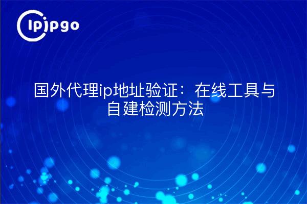 国外代理ip地址验证：在线工具与自建检测方法