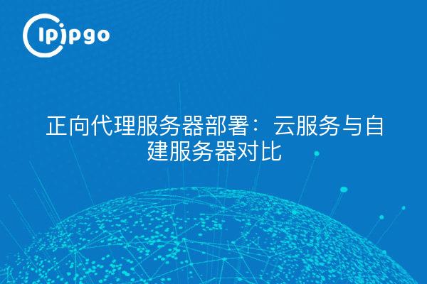 正向代理服务器部署：云服务与自建服务器对比
