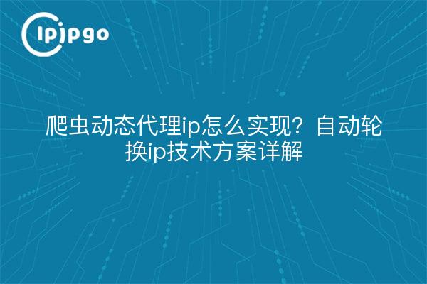 爬虫动态代理ip怎么实现?自动轮换ip技术方案详解