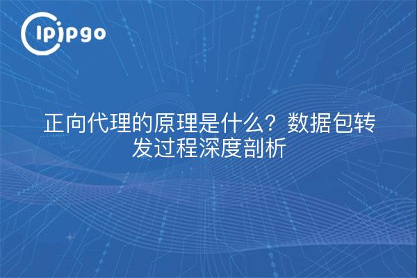 正向代理的原理是什么?数据包转发过程深度剖析