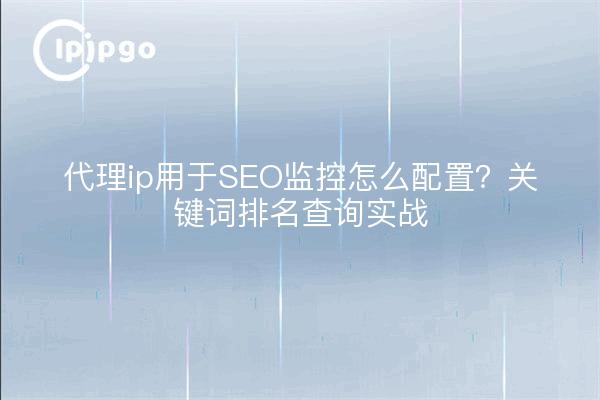 代理ip用于SEO监控怎么配置？关键词排名查询实战