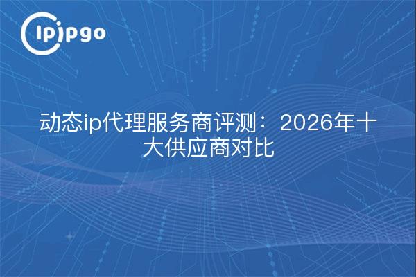 动态ip代理服务商评测：2026年十大供应商对比