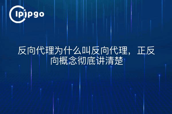 反向代理为什么叫反向代理，正反向概念彻底讲清楚