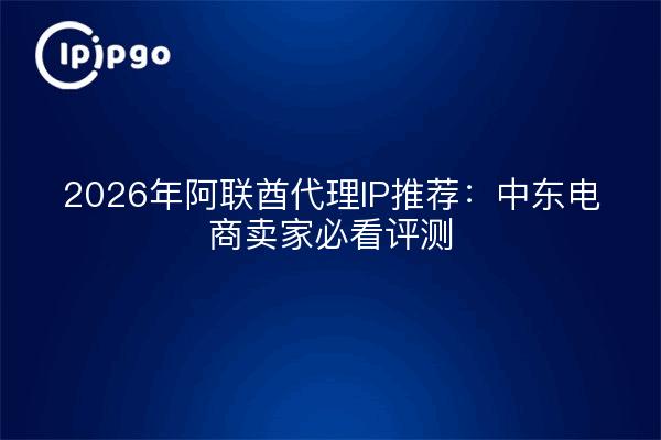 2026年阿联酋代理IP推荐：中东电商卖家必看评测