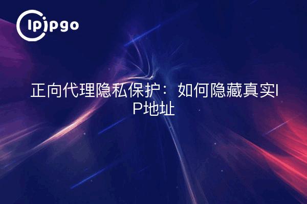 正向代理隐私保护：如何隐藏真实IP地址