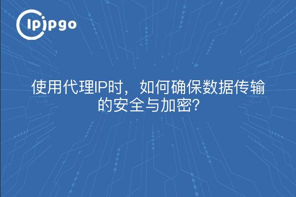 使用代理IP时，如何确保数据传输的安全与加密？