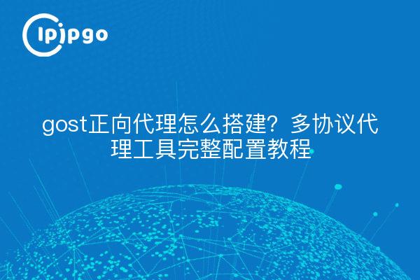 gost正向代理怎么搭建？多协议代理工具完整配置教程