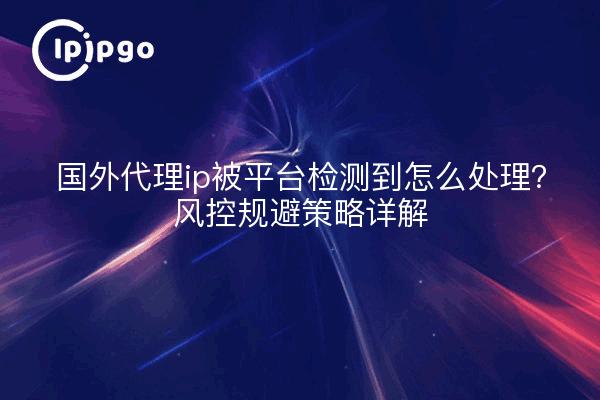 国外代理ip被平台检测到怎么处理?风控规避策略详解