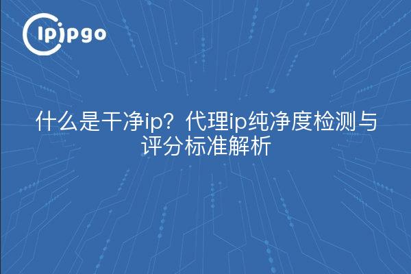 什么是干净ip？代理ip纯净度检测与评分标准解析
