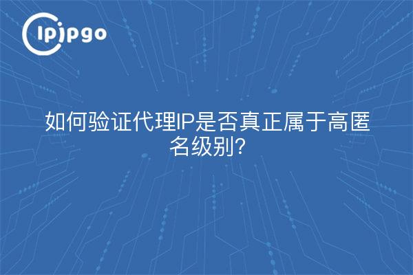如何验证代理IP是否真正属于高匿名级别？