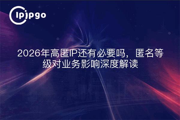 2026年高匿IP还有必要吗，匿名等级对业务影响深度解读