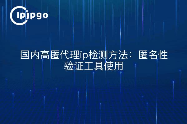 国内高匿代理ip检测方法：匿名性验证工具使用