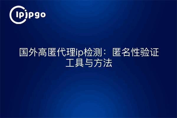 国外高匿代理ip检测：匿名性验证工具与方法