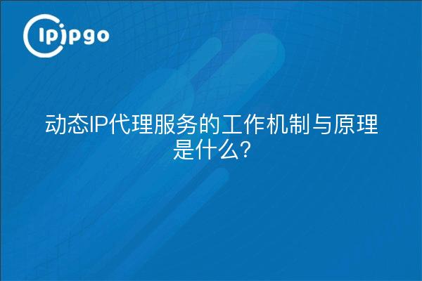 动态IP代理服务的工作机制与原理是什么？
