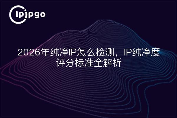 2026年纯净IP怎么检测，IP纯净度评分标准全解析