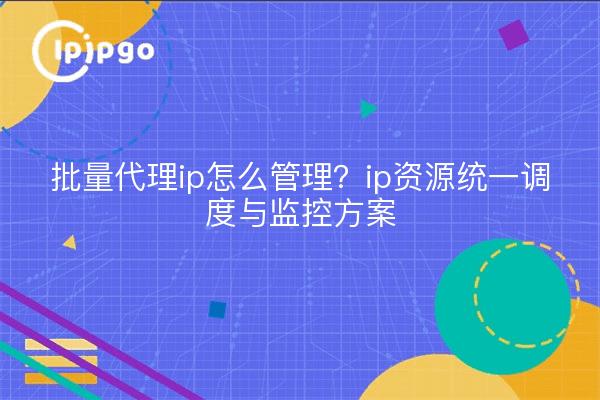 批量代理ip怎么管理？ip资源统一调度与监控方案